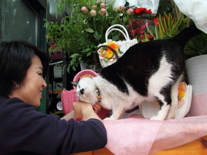 忙しいスタッフの手を止めるのもお手の物