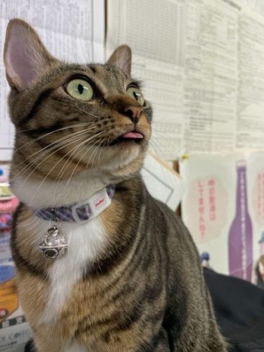 「今何時?寝すぎた?」(慎也さん提供)