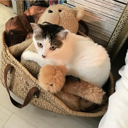 小さいけど、しっかりものの月ちゃん