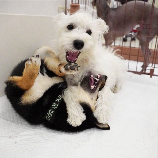 後輩の指導はボクに任せて!(UG提供)