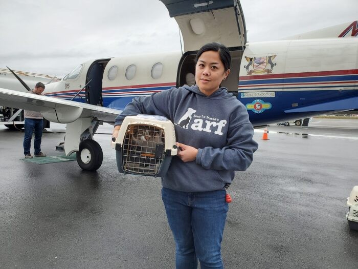 パートナーシェルターとの連携も多々。手が回らないシェルターからのヘルプ要請や、山火事やハリケーンなどの天災があれば保護に駆けつける。飛行機のパイロットもボランティア。規模に驚くばかり