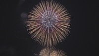 「なぜ夏にする?」「1発の値段は?」「きれいに見える距離は?」花火メーカーが疑問に回答 岡山