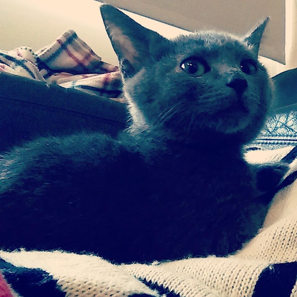 あどけない表情