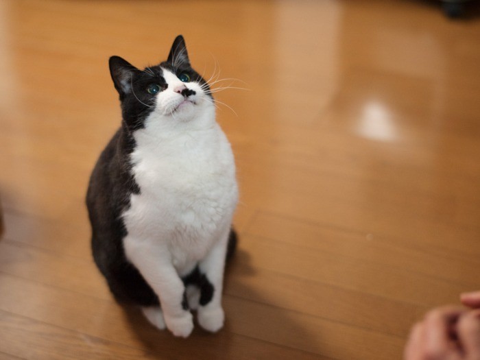 「……」(小林写函撮影)