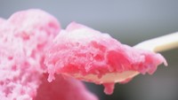 まるで粉雪のような食感 “氷”を使わないかき氷 香川【ほっとマルシェ】