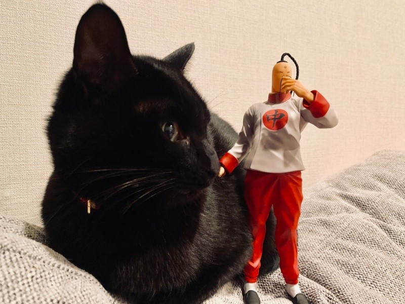 甘えん坊のイチ