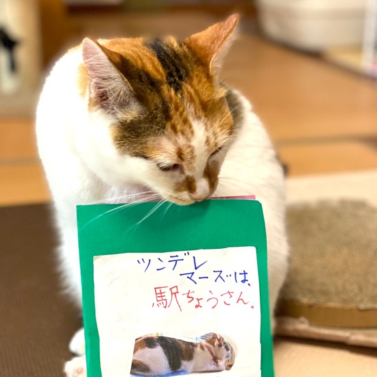 かいくんが作った本の表紙「ある夏の日、マーズというねこはまどの外を見ていました。マーズはツンデレである一人の人にしかこうふんしませんでした。そのある一人というのは電車のことで……」(Aさん提供)