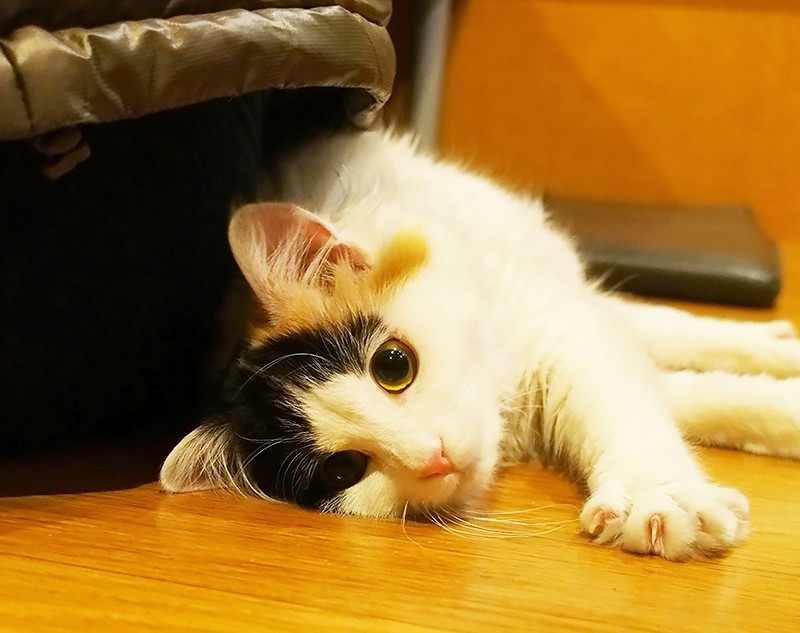 ちょっとひと休み
