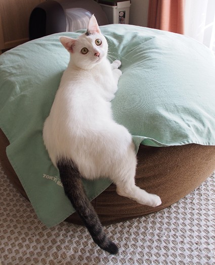 「ねえ、何して遊ぶ?」