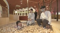 「讃岐おもちゃ美術館」が高松市にオープン 香川県産の木材や伝統工芸に親しめる