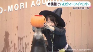 仙台うみの杜水族館でハロウィーンイベント 生き物たちと一緒に楽しむ