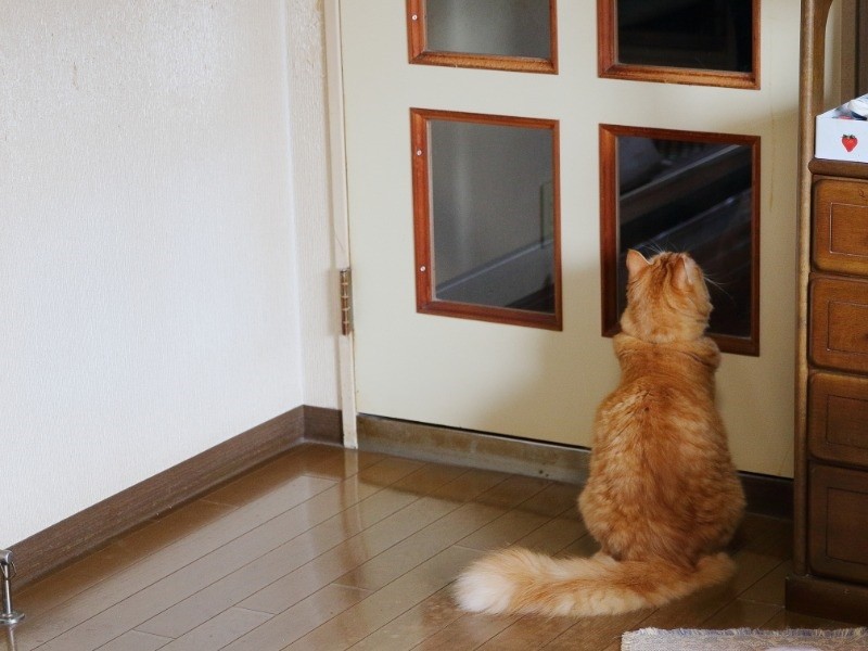 あれ?僕の親友はどこにいったのかな?