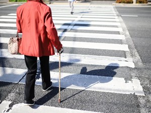 成年後見人の手続き 申し立てから選任までの流れ、必要書類、費用を解説