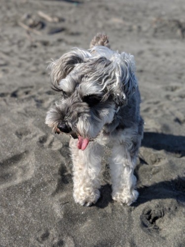 JIROは外が大好きです