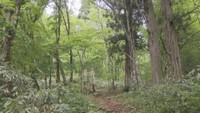 「四国の山 写真・動画コンテスト」の作品募集 11月11日「四国山の日」に表彰式