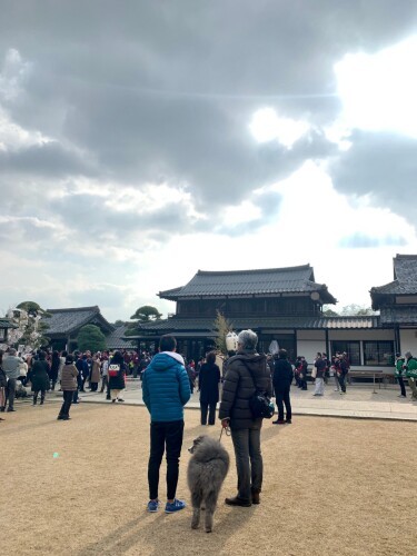出雲神社で参拝。本殿の中以外、七海も入れる