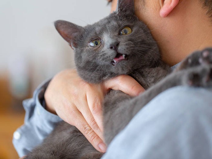 抱っこはちょっと苦手か