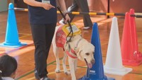 盲導犬や目の不自由な人への理解を深めて 小学校で出前授業 岡山市