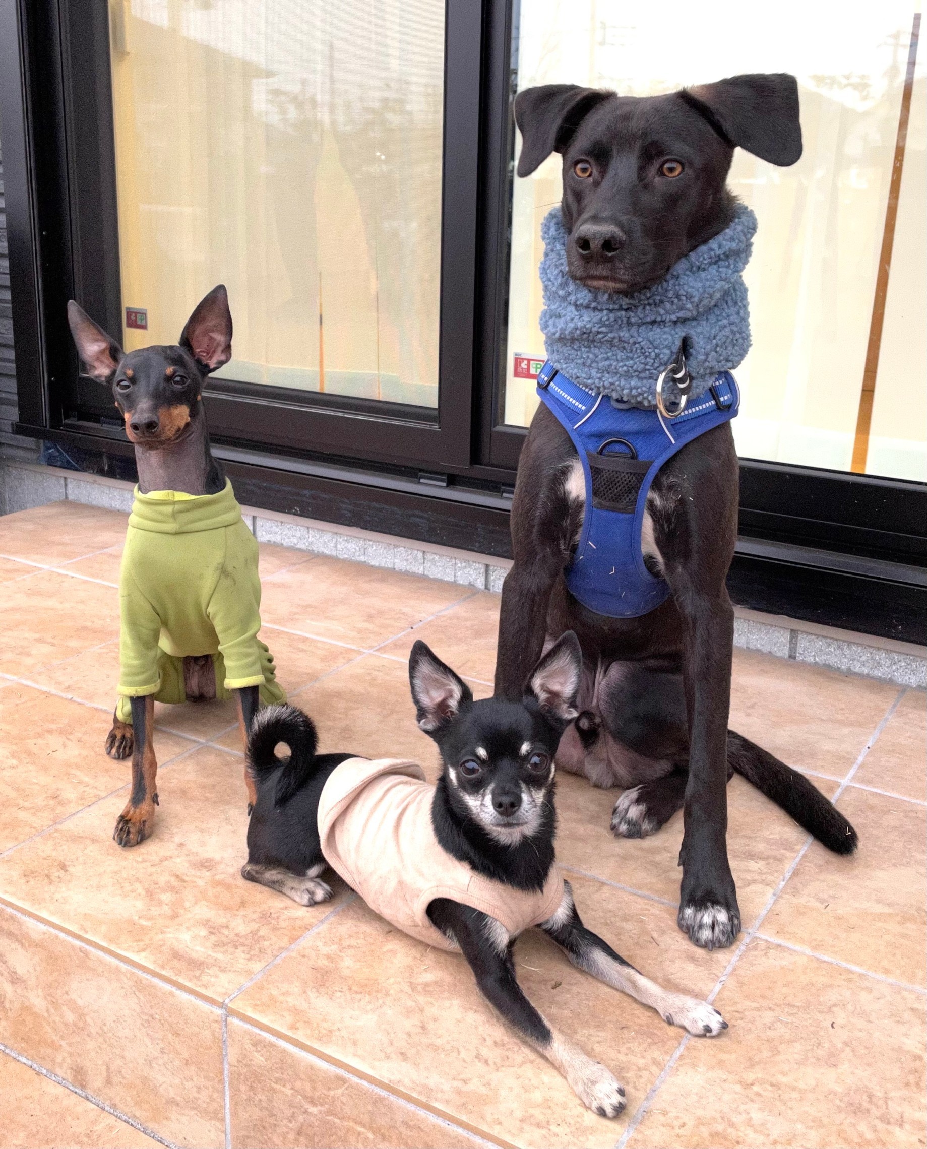 大きい弟と小さなお兄ちゃんたち(提供:お母さん)