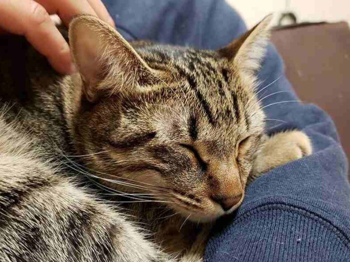 すっかり大きくなった