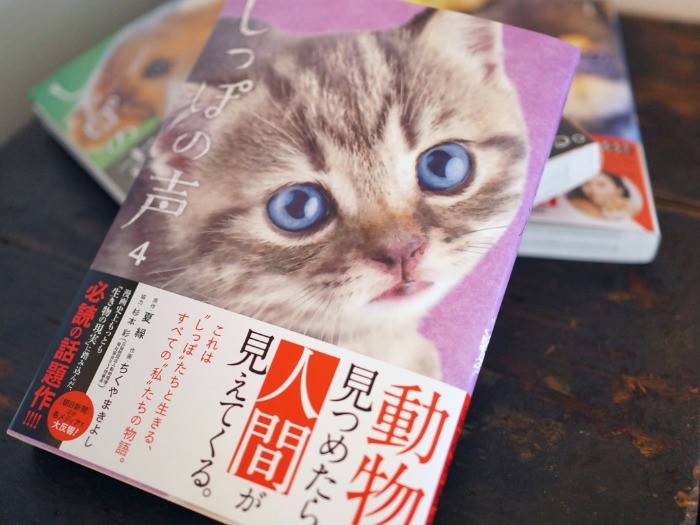 漫画『しっぽの声』。「ビッグコミックオリジナル」で連載中。女優・杉本彩さんが監修者として協力していることでも話題