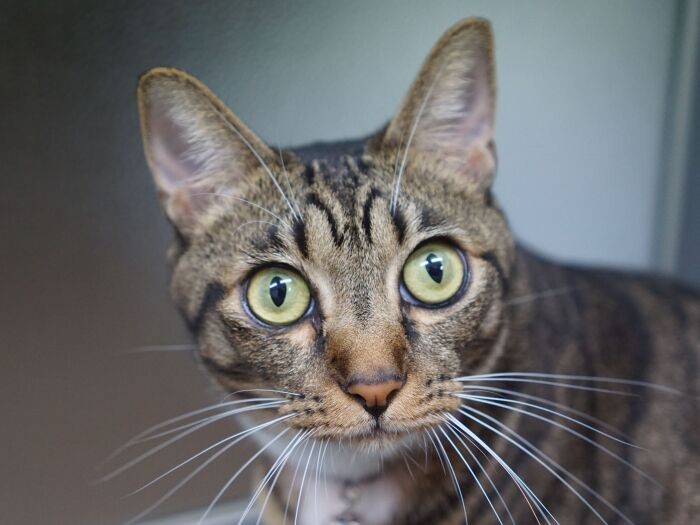 「びっくりするくらいシアワセな私からの報告でした by茶々」