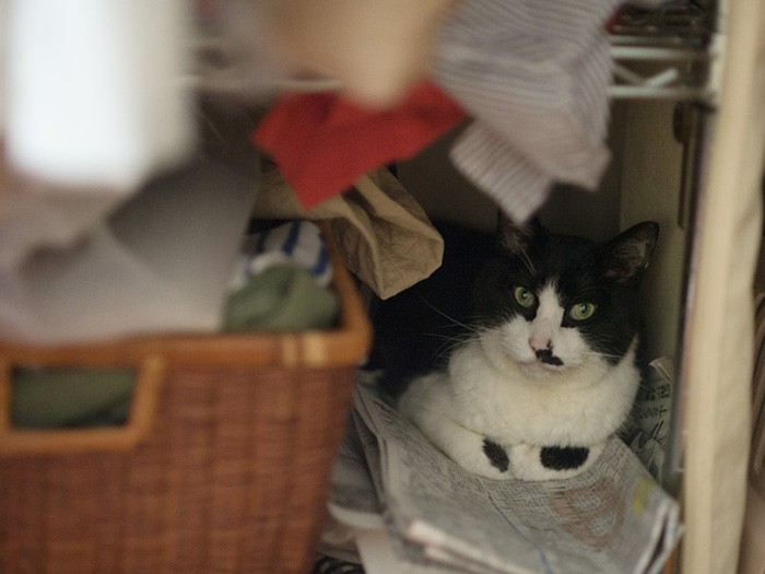 クローゼットに隠れる。(小林写函撮影)