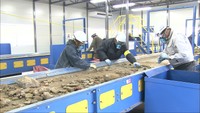 西日本豪雨の災害廃棄物 中間処理施設が本格稼働 処理のスピードアップ目指す 岡山