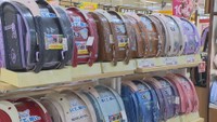 ランドセルの始まりから最近のトレンドまで 専門家に聞いてみた【みんなのハテナ】