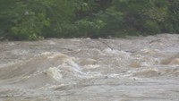 大雨で土中の水分量増加による土砂災害に注意 岡山・香川