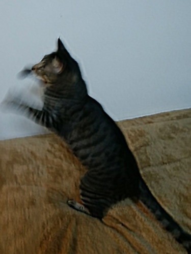 とびすぎないよう壁に沿わせるといい