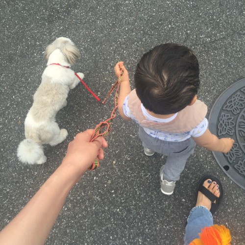 「ピピちゃん行くよ~」