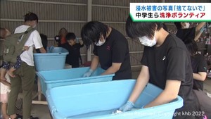 大雨被害による住宅浸水で汚れた写真の洗浄作業 なるべく早く持ち主の手元に