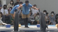 観光客でにぎわう四国水族館 3連休最終日には「移動交番」も 香川・宇多津町