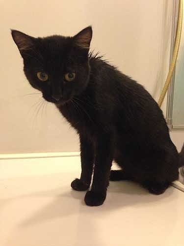 とても痩せていたくる(綾子さん提供)