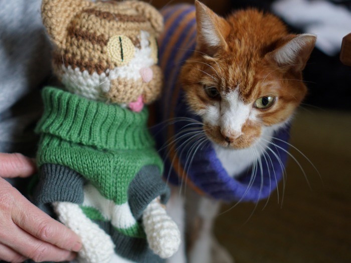 「僕によく似た人形、知り合いが作ってくれたんだ」