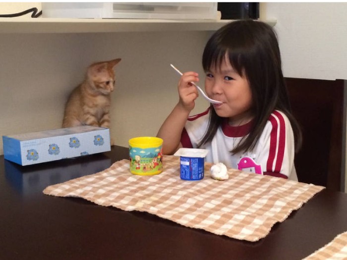 野良猫の母親に育児放棄され、あゆみさんの家にやってきたちくわ(あゆみさん提供)