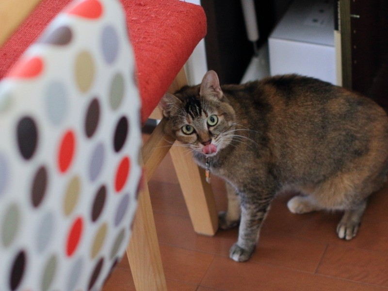 そう「あたし」は少しおっとりさん