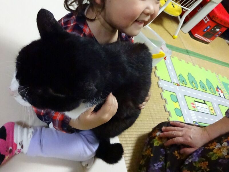 18歳のベルを抱く孫のゆめちゃん「おとなしくておりこうだね、ばばちゃん!」(佐藤さん提供)