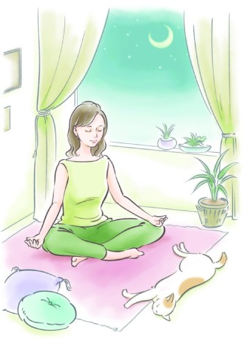 「ねこ瞑想」より(辰巳出版提供)