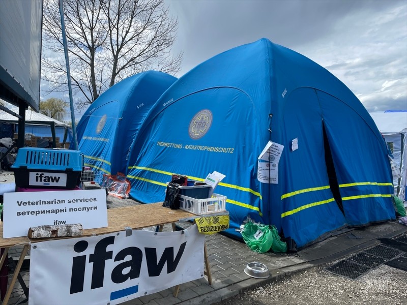アメリカの動物愛護団体ifawのテントは24時間体制だった