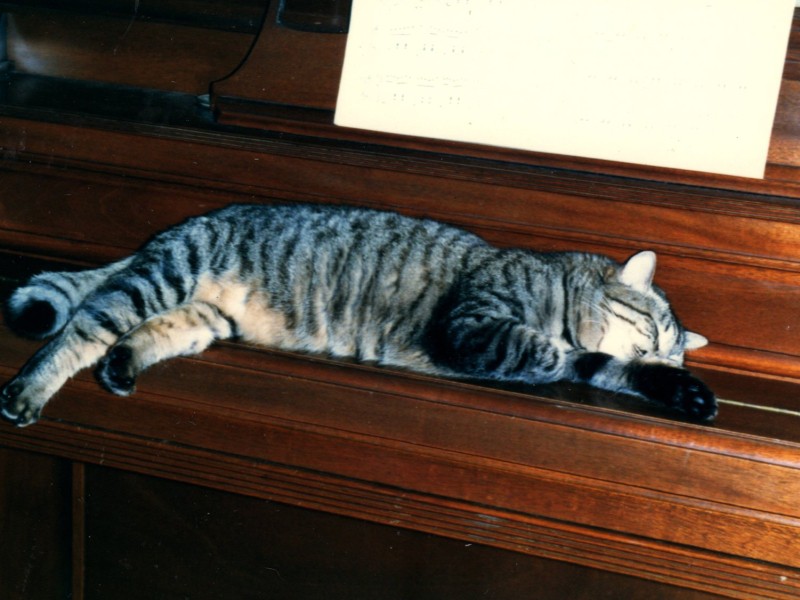 ピアノの上には「イリア」