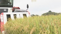 2025年度の主食用のコメ収穫量 岡山・香川ともに前年より増加の見込み