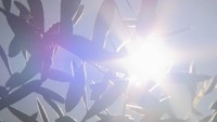 香川県で初の「熱中症警戒アラート」発表 20日にかけて食中毒警報を発令