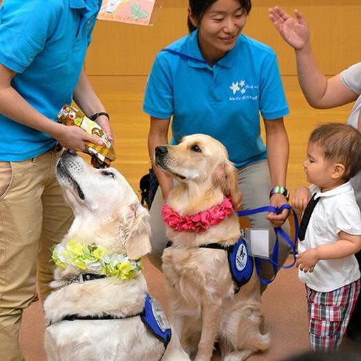 神奈川県立こども医療センターのファシリティードッグに着任したアニー(右の犬)と初代のベイリー