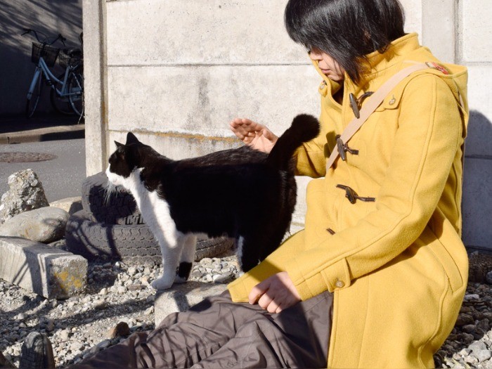 ハチワレと日向ぼっこ。(小林写函撮影)