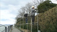 2020年オープンへ 香川・宇多津町で水族館整備工事始まる