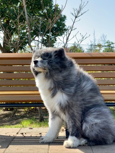 七海のベンチ巡り2 さ、おやつにしません?