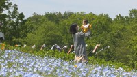 〈新型コロナ〉国営讃岐まんのう公園も4日から休園 香川県有施設の臨時休業にあわせて