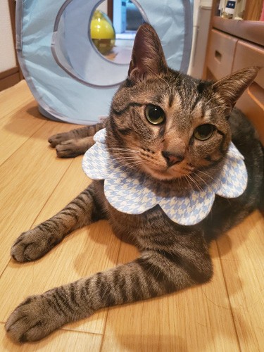 「手の長さなら負けないな、僕は体もムチムチだけど」byはっぴー